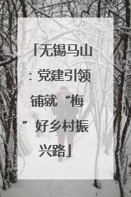 无锡马山：党建引领 铺就“梅”好乡村振兴路