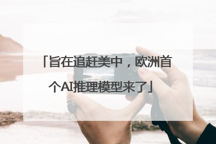 旨在追赶美中，欧洲首个AI推理模型来了