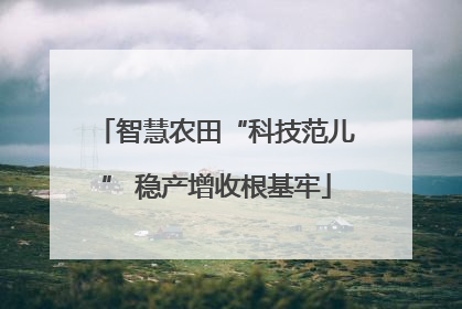 智慧农田“科技范儿” 稳产增收根基牢