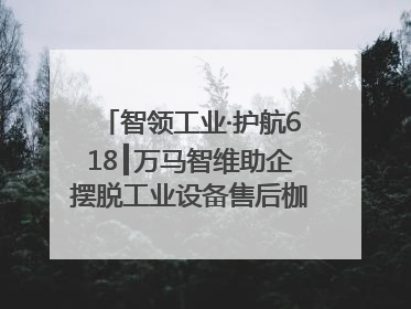 智领工业·护航618┃万马智维助企摆脱工业设备售后枷锁，实现服务与效能价值共振！