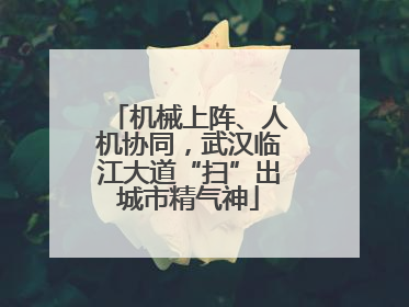 机械上阵、人机协同，武汉临江大道“扫”出城市精气神