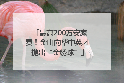 最高200万安家费！金山向华中英才抛出“金绣球”