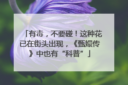 有毒，不要碰！这种花已在街头出现，《甄嬛传》中也有“科普”