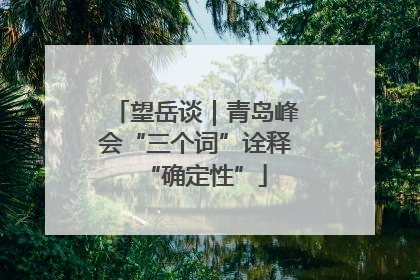 望岳谈｜青岛峰会“三个词”诠释“确定性”