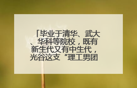 毕业于清华、武大、华科等院校，既有新生代又有中生代，光谷这支“理工男团”为何“出道”？