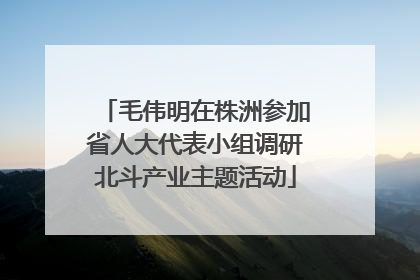 毛伟明在株洲参加省人大代表小组调研北斗产业主题活动