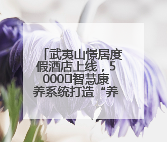武夷山憬居度假酒店上线，5000㎡智慧康养系统打造“养心+养身”双重体验