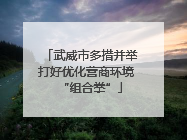 武威市多措并举打好优化营商环境“组合拳”