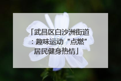 武昌区白沙洲街道：趣味运动“点燃”居民健身热情