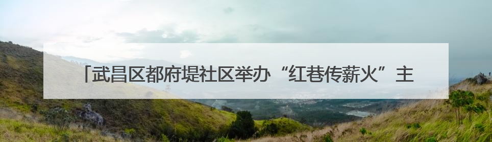 武昌区都府堤社区举办“红巷传薪火”主题活动 探索党建引领基层治理新路径