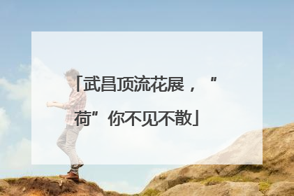 武昌顶流花展，“荷”你不见不散