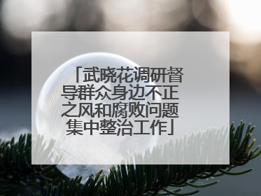 武晓花调研督导群众身边不正之风和腐败问题集中整治工作