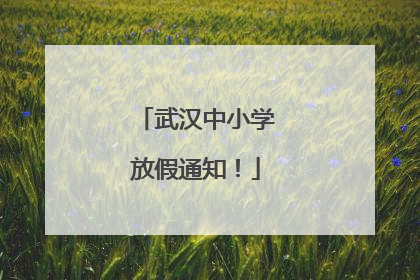 武汉中小学放假通知！