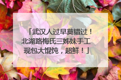 武汉人过早莫错过！北湖路梅氏三姊妹手工现包大馄饨，超鲜！