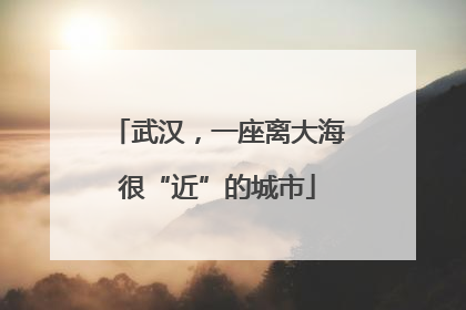 武汉，一座离大海很“近”的城市