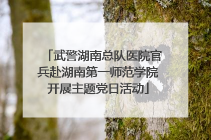 武警湖南总队医院官兵赴湖南第一师范学院开展主题党日活动