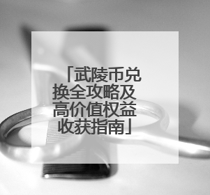 武陵币兑换全攻略及高价值权益收获指南