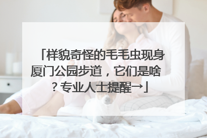 样貌奇怪的毛毛虫现身厦门公园步道，它们是啥？专业人士提醒→