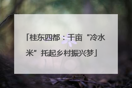 桂东四都：千亩“冷水米”托起乡村振兴梦