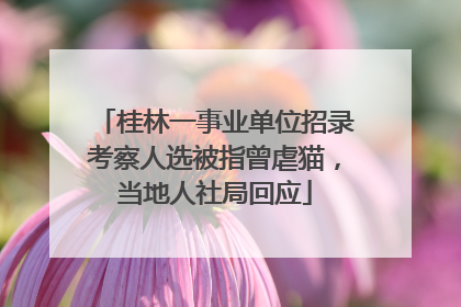 桂林一事业单位招录考察人选被指曾虐猫，当地人社局回应