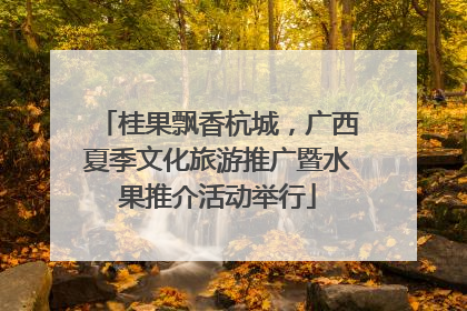 桂果飘香杭城，广西夏季文化旅游推广暨水果推介活动举行