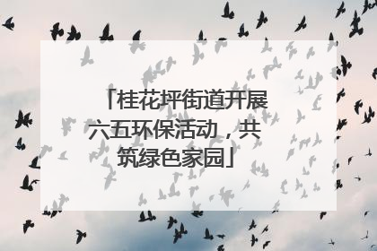 桂花坪街道开展六五环保活动，共筑绿色家园
