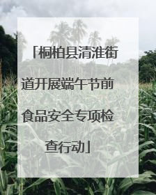 桐柏县清淮街道开展端午节前食品安全专项检查行动