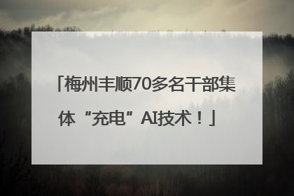 梅州丰顺70多名干部集体“充电”AI技术！