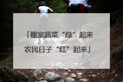 棚室蔬菜“绿”起来 农民日子“红”起来