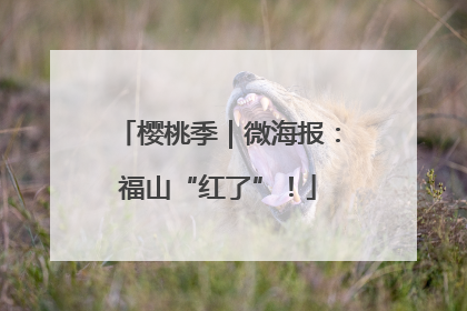 樱桃季｜微海报：福山“红了”！
