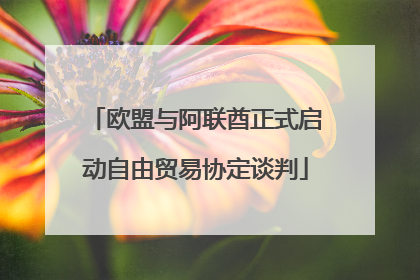 欧盟与阿联酋正式启动自由贸易协定谈判