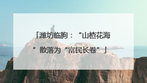 潍坊临朐：“山楂花海”散落为“富民长卷”
