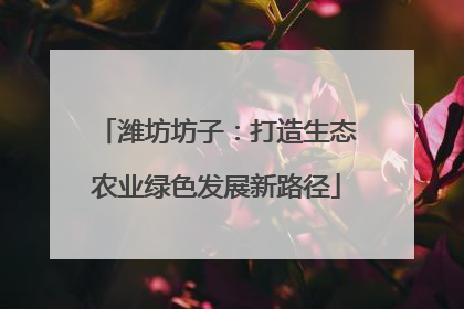 潍坊坊子：打造生态农业绿色发展新路径