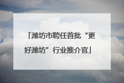 潍坊市聘任首批“更好潍坊”行业推介官