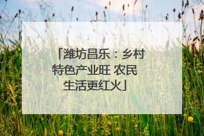 潍坊昌乐：乡村特色产业旺 农民生活更红火