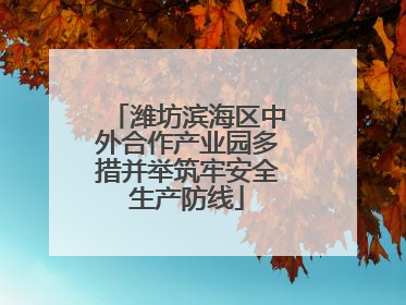 潍坊滨海区中外合作产业园多措并举筑牢安全生产防线