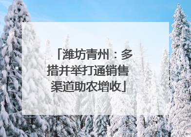 潍坊青州：多措并举打通销售渠道助农增收