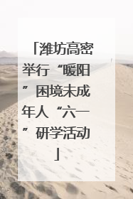 潍坊高密举行“暖阳”困境未成年人“六一”研学活动
