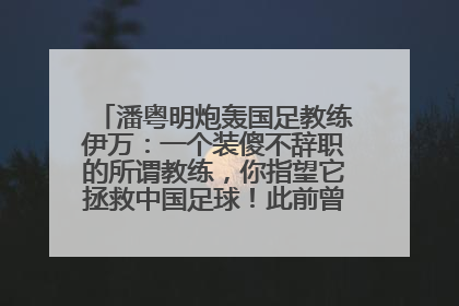 潘粤明炮轰国足教练伊万：一个装傻不辞职的所谓教练，你指望它拯救中国足球！此前曾多次发文评价国足