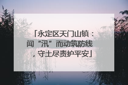 永定区天门山镇：闻“汛”而动筑防线，守土尽责护平安