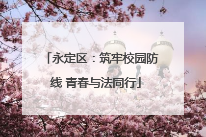永定区：筑牢校园防线 青春与法同行
