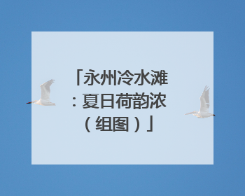 永州冷水滩：夏日荷韵浓（组图）