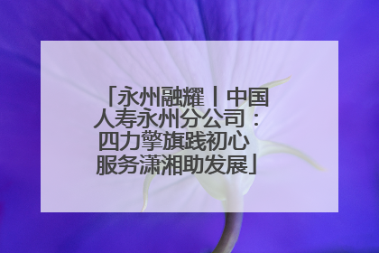 永州融耀丨中国人寿永州分公司：四力擎旗践初心 服务潇湘助发展