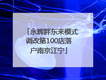 永辉胖东来模式调改第100店落户南京江宁