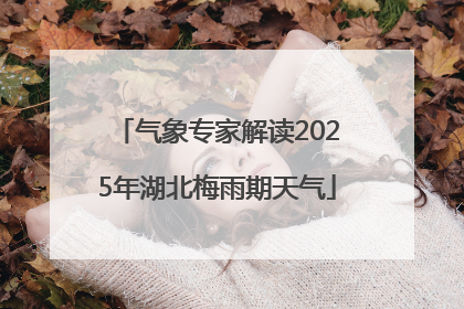 气象专家解读2025年湖北梅雨期天气