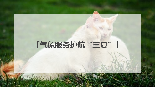 气象服务护航“三夏”
