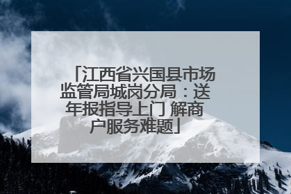 江西省兴国县市场监管局城岗分局：送年报指导上门 解商户服务难题