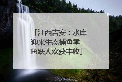 江西吉安：水库迎来生态捕鱼季 鱼跃人欢获丰收