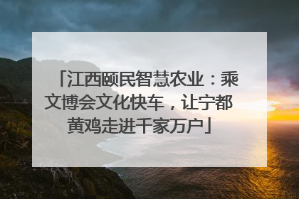 江西颐民智慧农业：乘文博会文化快车，让宁都黄鸡走进千家万户