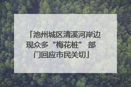 池州城区清溪河岸边现众多“梅花桩” 部门回应市民关切